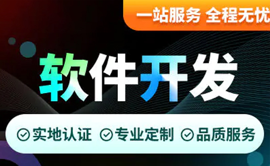 软件开发定制
